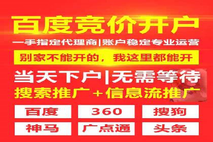 解析SEM托管公司经典案例：如何制定有效的广告策略